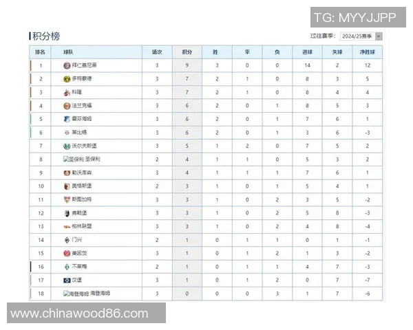 拜仁慕尼黑九连胜领跑积分榜稳坐榜首