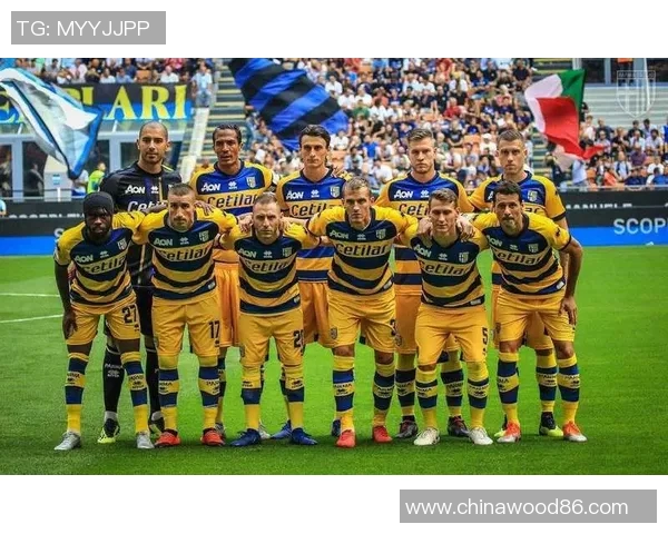 意甲球队纷纷报名参加新赛季国际比赛,引发球迷热烈讨论